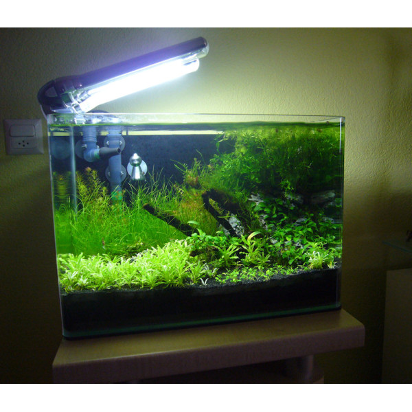 Aquatic Nature Cocoon 1 LED (10L)